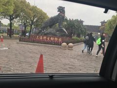 -野生动物园-停车场