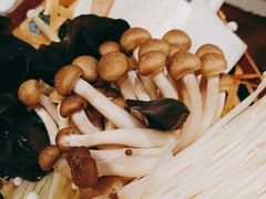 -湊湊火锅·茶憩(东城万达店)