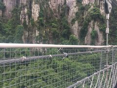 -福建天门山