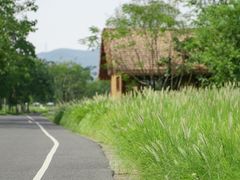 -良渚古城遗址公园