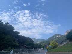 -大芦花风景区