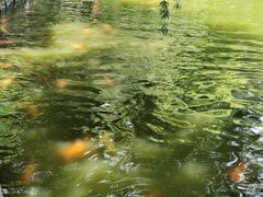 -星海公园(番禺区)