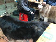 -老宅原住民沙茶面精品小吃(龙头路店)