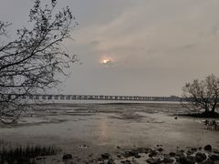 -宝安西湾红树林湿地公园