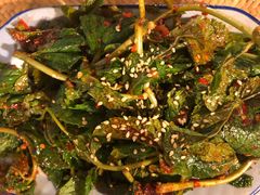 凉拌薄荷-多哥水傣味餐厅(司马巷店)