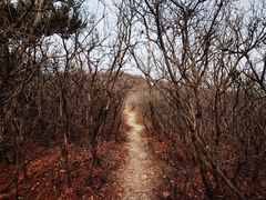 -北京西山国家森林公园