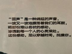 -Echo回声黑胶唱片咖啡馆