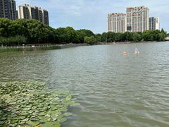 -金鸡湖景区