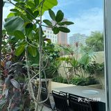 在太原！！！花小钱装大杯的日式烤肉！！！