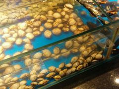 -鑫海汇海鲜烤肉自助(北国商城店)