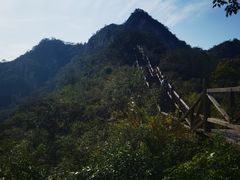 -大岭沟猕猴桃谷风景区
