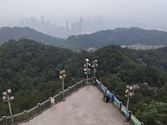 -大金鹰园