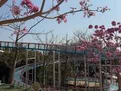-盈香心动乐园