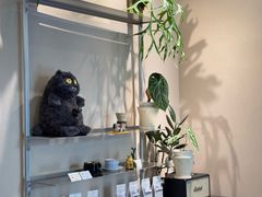 -Dogi&kiki Coffee(中心商务大厦店)