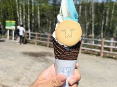 -青池
