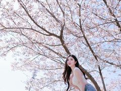 -高东镇樱花园