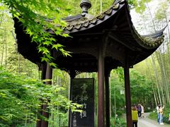 -西湖风景区十里琅珰-五云山