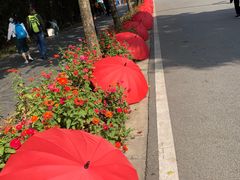 -武汉园博园(武汉自然博物馆)