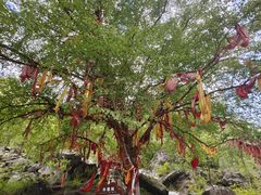 -叠溪松坪沟景区