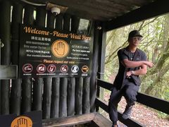 -怀托摩萤火虫洞