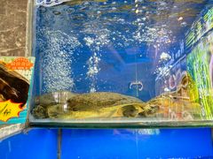 -小城味道(聚成大厦店)