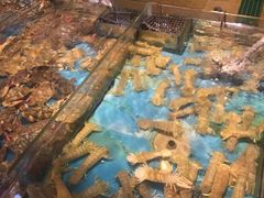 -渔公码头·九龙湾国际饭店
