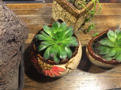 -有才叔的小馆(招商依云曲江店)