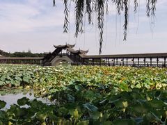 -观桥阁(锦溪店)