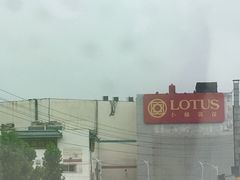 -卜蜂莲花(辽阳西路店)