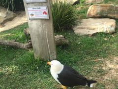 -费瑟代尔野生动物园