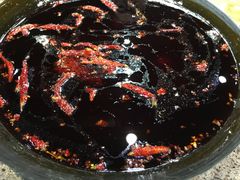 -堂客老火锅(欣阳广场总店)