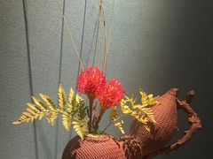 -觀芷隐轩