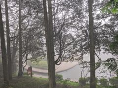 -庐山风景区花径公园