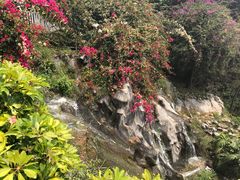 景点-南诏风情岛