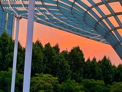 -黄浦江游览(十六铺码头)