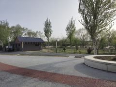 -丁香湖公园