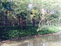 iphone_upload_pic-上海怡沁园度假酒店