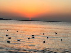 -金梦海湾浴场