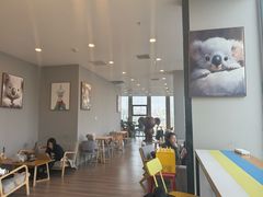 -了不起的考拉咖啡店(高新店)