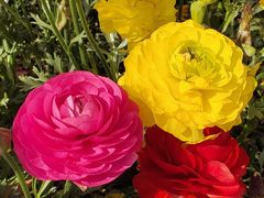 -同济大学(嘉定校区)