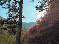 -木兰云雾山