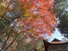 -莫干山风景区