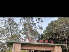 -火炉山森林公园