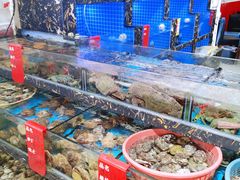 水产区-鑫鸿达·海鲜闽菜热炒小馆(中山路店)