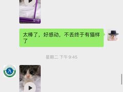 -派美特宠物医院·核磁CT·骨科肿瘤·疑难转诊(沈农禾丰店)