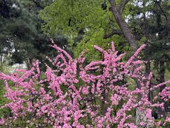 -长春市南湖公园