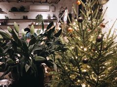 -Apollo·西班牙小酒馆(安福路店)