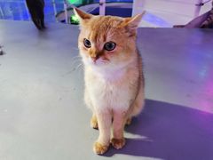 -极木²邸 人与宠物·互动社区