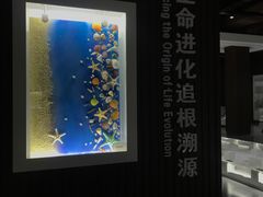 -贝壳王国博物馆