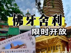 -八大处公园